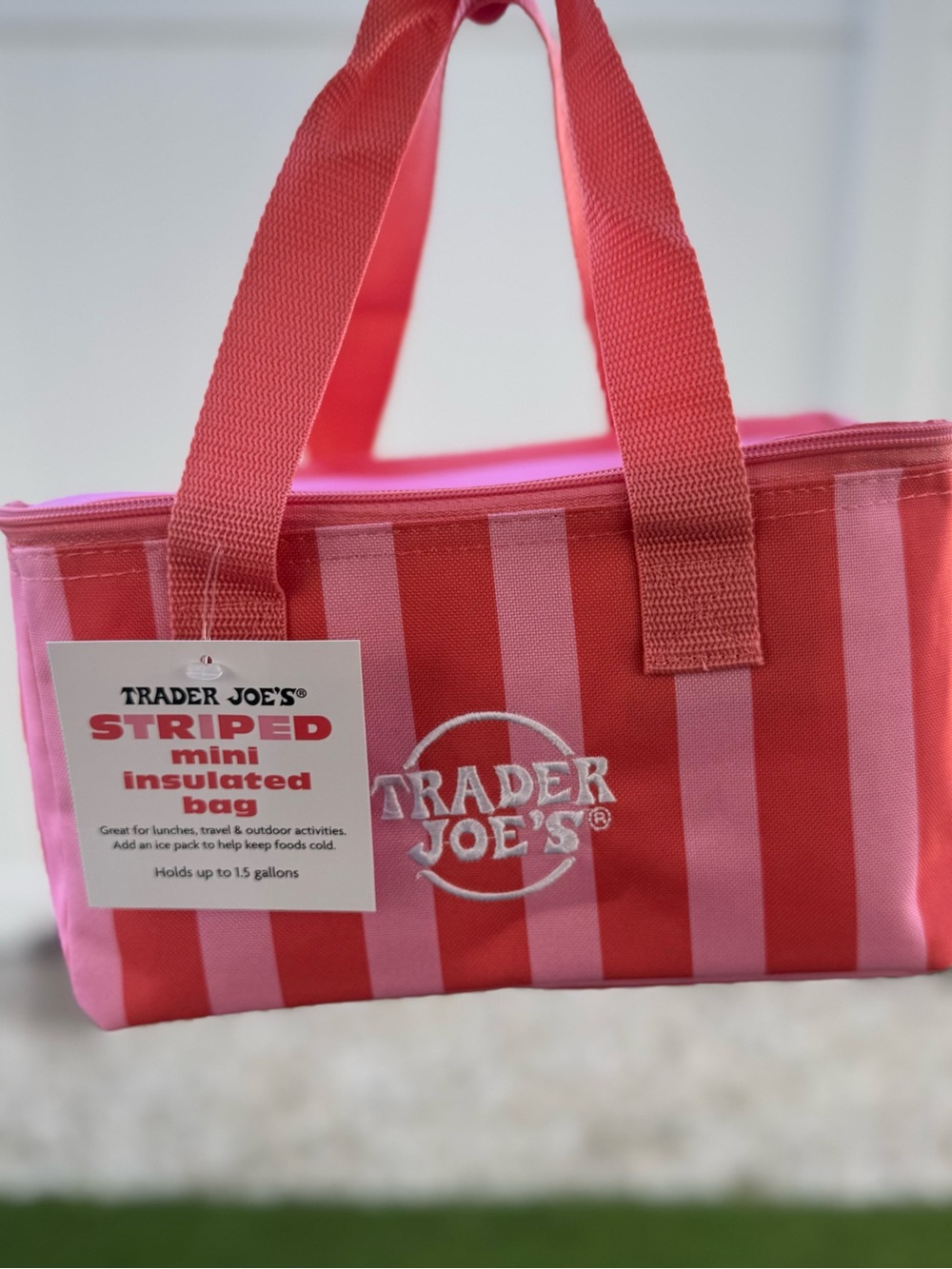 Trader Joe's Striped Mini Insulated Bag - Pink and Red